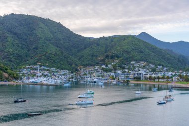 Picton 'un Yeni Zelanda' daki manzarası