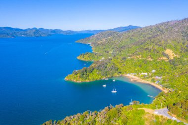 New Zeland 'in Güney Adası' nda Queen Charlotte 'daki Valilik Koyu