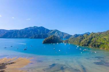 Kraliçe Charlotte 'daki Ngakuta Körfezi Yeni Zeland' in Güney Adası 'nda.