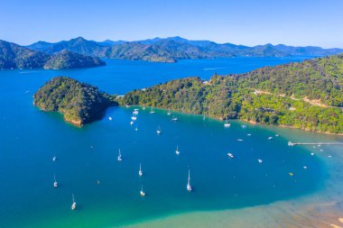 Kraliçe Charlotte 'daki Ngakuta Körfezi Yeni Zeland' in Güney Adası 'nda.