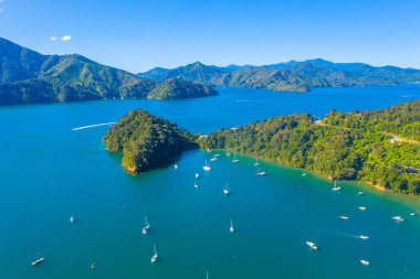 Kraliçe Charlotte 'daki Ngakuta Körfezi Yeni Zeland' in Güney Adası 'nda.