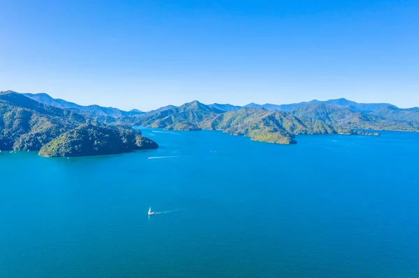 Bras Bosquet Son Reine Charlotte Île Sud Nouvelle Zélande — Photo