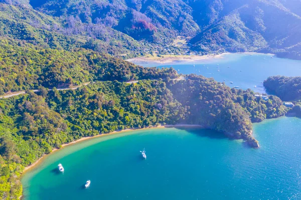 Zatoka Gubernatorów Queen Charlotte South Island Nowej Zelandii — Zdjęcie stockowe