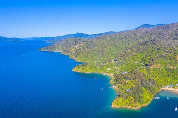 Bras Bosquet Son Reine Charlotte Île Sud Nouvelle Zélande — Photo