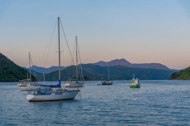 Yeni Zelanda, Picton 'da Kraliçe Charlotte' a demirleyen gemiler.