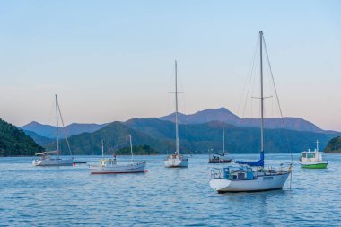Yeni Zelanda, Picton 'da Kraliçe Charlotte' a demirleyen gemiler.
