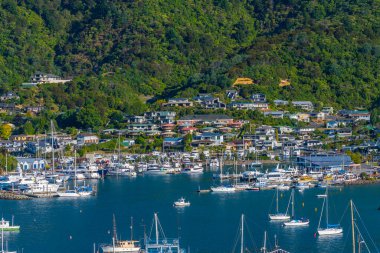 Picton 'un Yeni Zelanda' daki manzarası