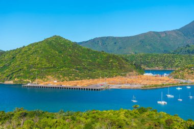 Tahta kütükler Picton, Yeni Zelanda limanında depolandı