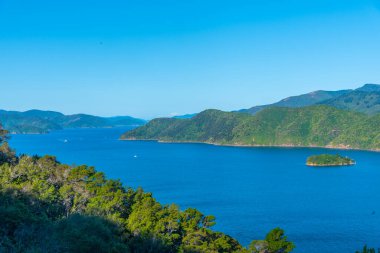 Kraliçe Charlotte 'un korucu kolu New Zeland' ın Güney Adası 'nda ses çıkarıyor.