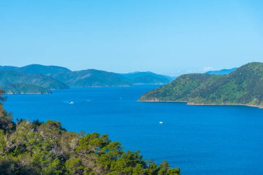 Kraliçe Charlotte 'un korucu kolu New Zeland' ın Güney Adası 'nda ses çıkarıyor.