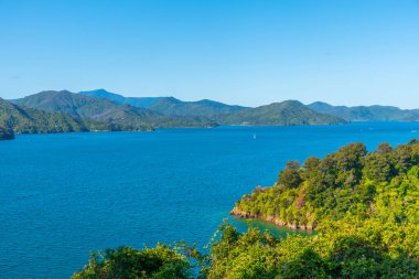 Kraliçe Charlotte 'un korucu kolu New Zeland' ın Güney Adası 'nda ses çıkarıyor.