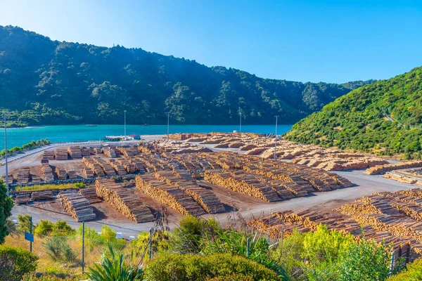 Troncos Madera Almacenados Puerto Picton Nueva Zelanda —  Fotos de Stock