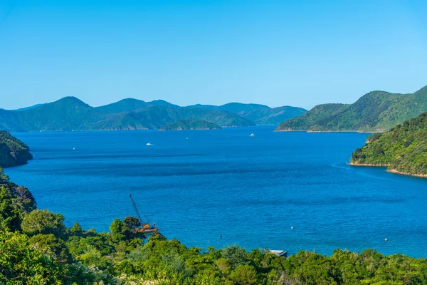 Bras Bosquet Son Reine Charlotte Île Sud Nouvelle Zélande — Photo