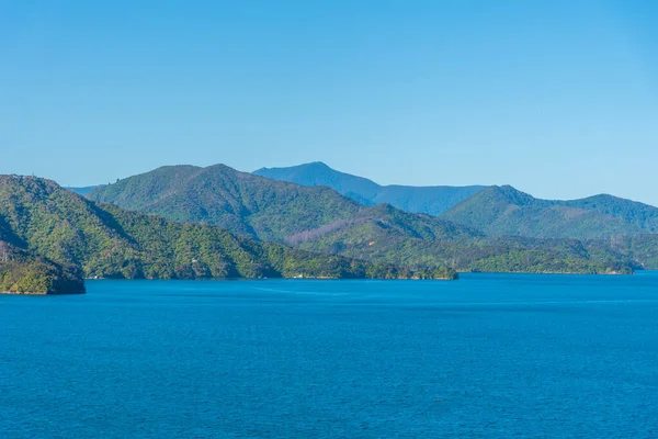 Braccio Boschivo Queen Charlotte Suono South Island Della Nuova Zelanda — Foto Stock