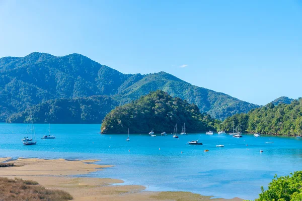 Baie Ngakuta Détroit Reine Charlotte Île Sud Nouvelle Zélande — Photo