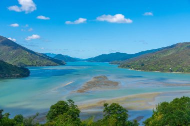 Pelorus sesi Yeni Zelanda 'da