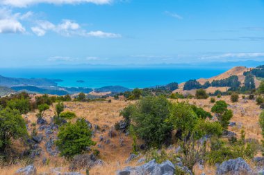 Takaka tepesinin etrafındaki Yeni Zelanda manzarası