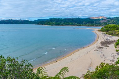 Yeni Zelanda 'daki Abel Tasman Ulusal Parkı' ndaki Porter plajı.