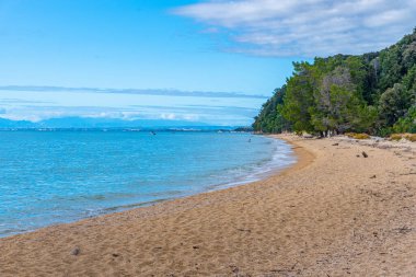 Yeni Zelanda 'daki Abel Tasman Ulusal Parkı' ndaki Apple Tree Körfezi plajı