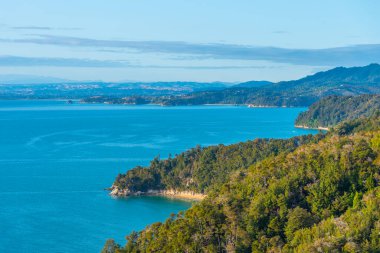 Yeni Zelanda 'daki Abel Tasman ulusal parkının kıyı şeridi görüntüsü