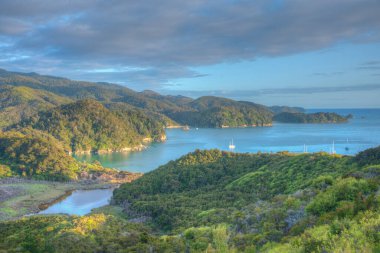 Yeni Zelanda 'daki Abel Tasman Ulusal Parkı' ndaki Torrent Koyu 'nun hava görüntüsü
