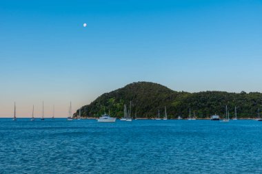 Yeni Zelanda 'daki Abel Tasman Ulusal Parkı' ndaki Torrent Koyu 'nda demirleyen teknelerin gün batımı görüntüsü