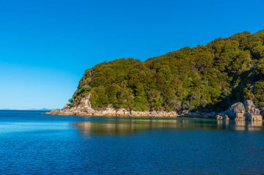 Yeni Zelanda 'daki Abel Tasman Ulusal Parkı' ndaki Torrent Körfezi