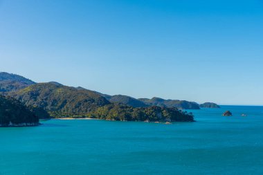 Yeni Zelanda 'daki Abel Tasman Ulusal Parkı' ndaki Torrent Körfezi