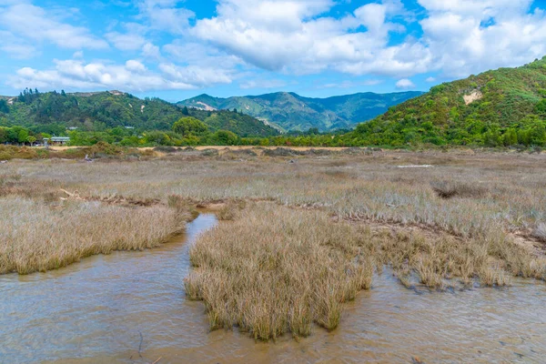 Humedales Parque Nacional Abel Tasman Nueva Zelanda —  Fotos de Stock