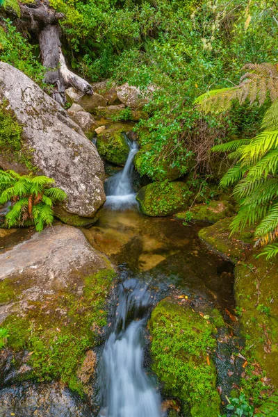 Pequeña Cascada Parque Nacional Abel Tasman Nueva Zelanda — Foto de Stock