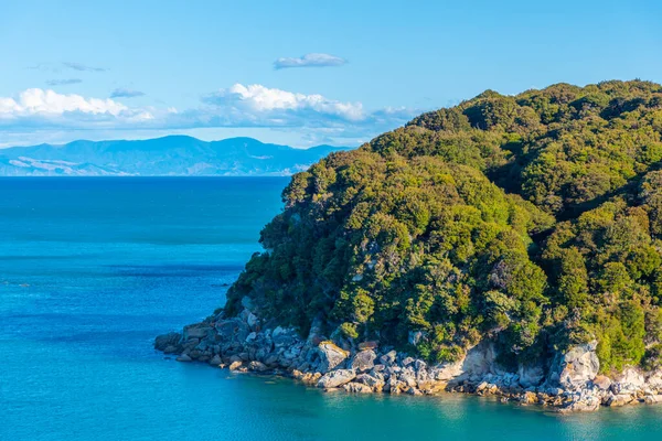 Pukatea Bay Vid Abel Tasman Nationalpark Nya Zeeland — Stockfoto