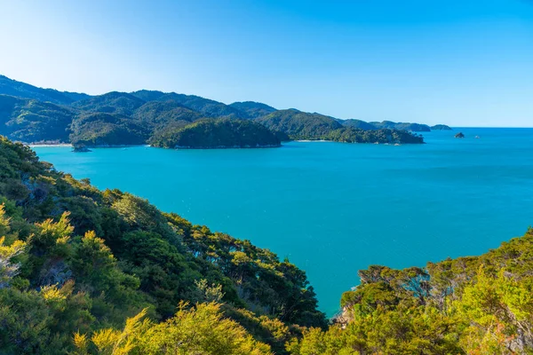 Baia Torrent Nel Parco Nazionale Abel Tasman Nuova Zelanda — Foto Stock