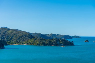 Yeni Zelanda 'daki Abel Tasman Ulusal Parkı' ndaki sınır koyunda.