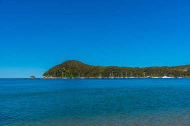 Yeni Zelanda 'daki Abel Tasman milli parkındaki Torrent körfezine demir atmış tekneler.