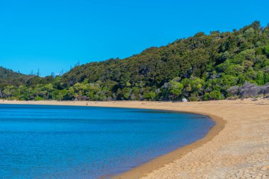 Yeni Zelanda 'daki Abel Tasman Ulusal Parkı' nda Anchorage plajı