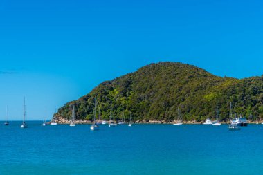 Yeni Zelanda 'daki Abel Tasman milli parkındaki Torrent körfezine demir atmış tekneler.