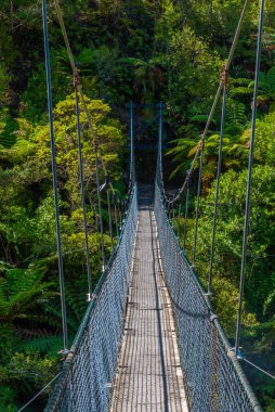 Yeni Zelanda 'daki Abel Tasman Ulusal Parkı' nda Şelale Nehri üzerinde sallanan köprü.