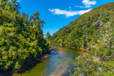 Yeni Zelanda 'daki Abel Tasman Ulusal Parkı' nda Şelale Nehri