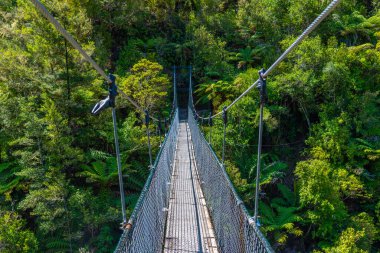 Yeni Zelanda 'daki Abel Tasman Ulusal Parkı' nda Şelale Nehri üzerinde sallanan köprü.