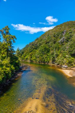 Yeni Zelanda 'daki Abel Tasman Ulusal Parkı' nda Şelale Nehri