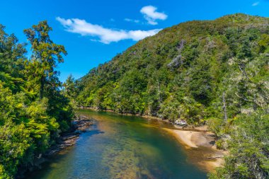 Yeni Zelanda 'daki Abel Tasman Ulusal Parkı' nda Şelale Nehri