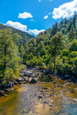 Yeni Zelanda 'daki Abel Tasman Ulusal Parkı' nda Şelale Nehri