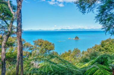 Yeni Zelanda 'daki Abel Tasman Ulusal Parkı' ndaki Zirve Adası