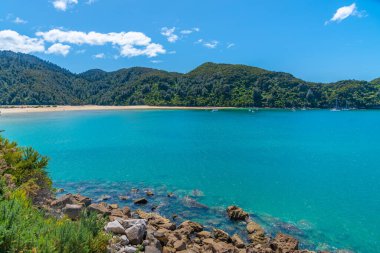 Yeni Zelanda 'daki Abel Tasman Ulusal Parkı' ndaki Bark Körfezi.