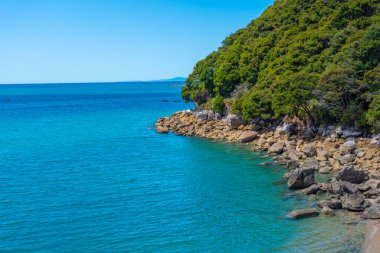 Yeni Zelanda 'daki Abel Tasman Ulusal Parkı' ndaki Medlands plajı