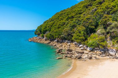 Yeni Zelanda 'daki Abel Tasman Ulusal Parkı' ndaki Medlands plajı