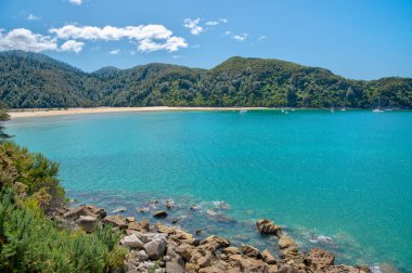 Yeni Zelanda 'daki Abel Tasman Ulusal Parkı' ndaki Bark Körfezi.