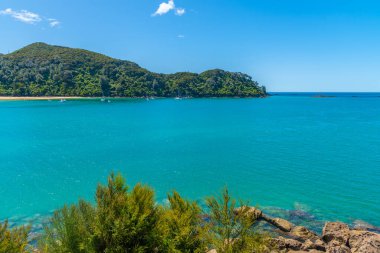 Yeni Zelanda 'daki Abel Tasman Ulusal Parkı' ndaki Bark Körfezi.