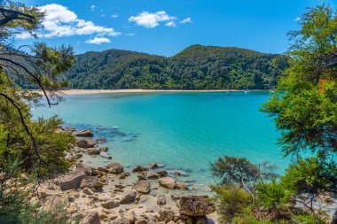 Yeni Zelanda 'daki Abel Tasman Ulusal Parkı' ndaki Bark Körfezi.