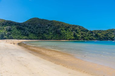 Yeni Zelanda 'daki Abel Tasman Ulusal Parkı' ndaki Bark Körfezi.